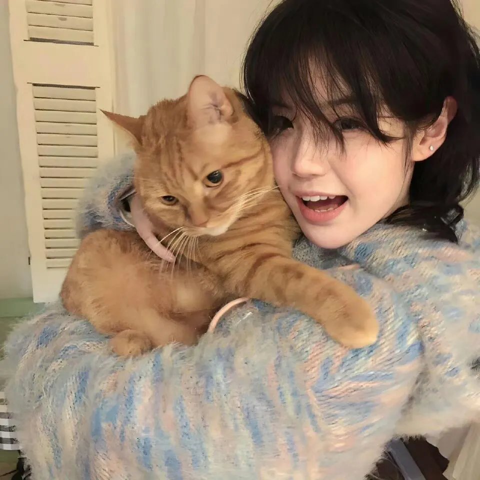 令人心动的offer第六季